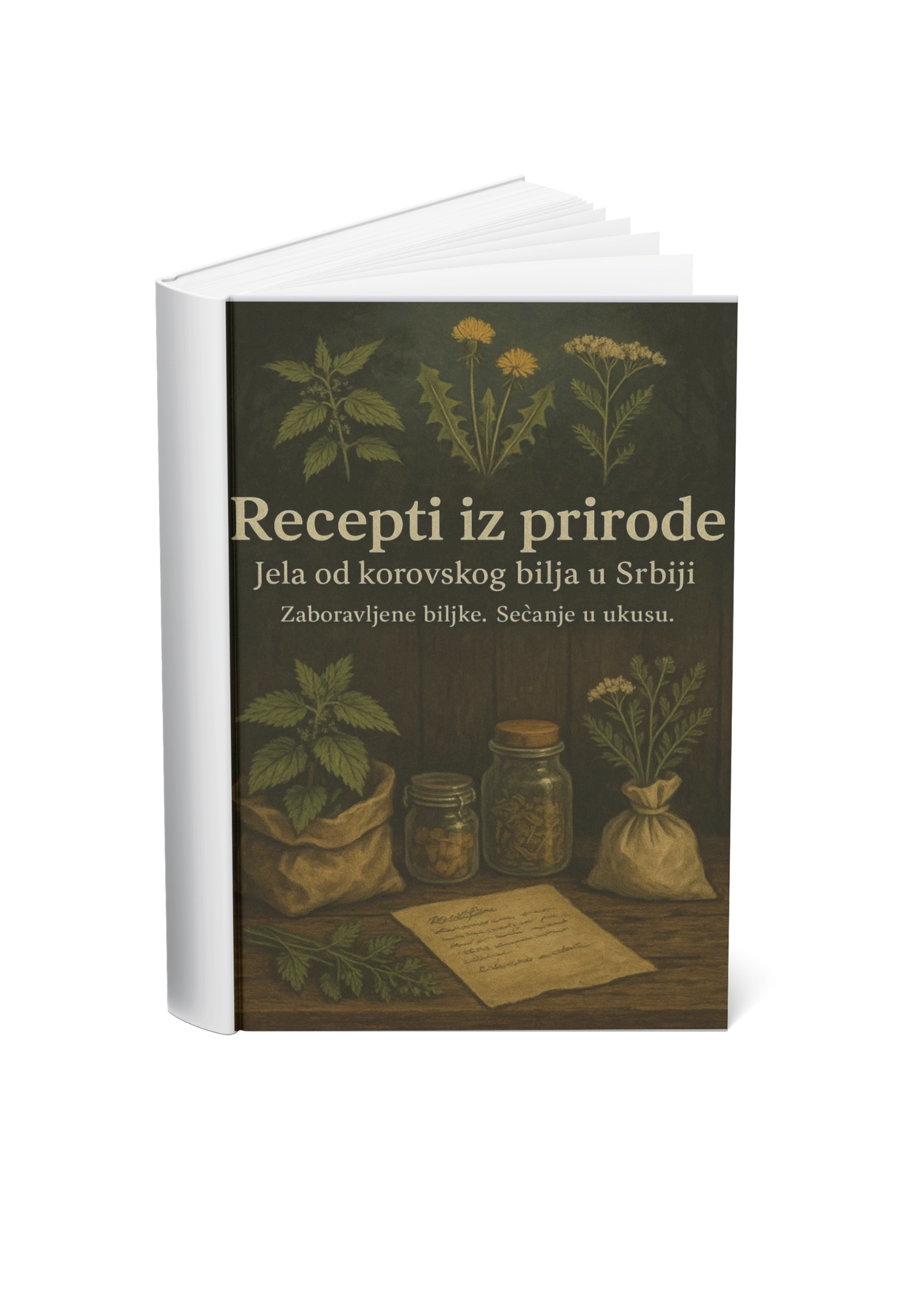 Recepti iz prirode (PDF) - Neša Travka